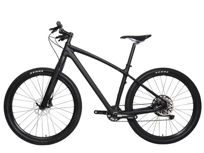 raleigh bikes tekoa mountain bike